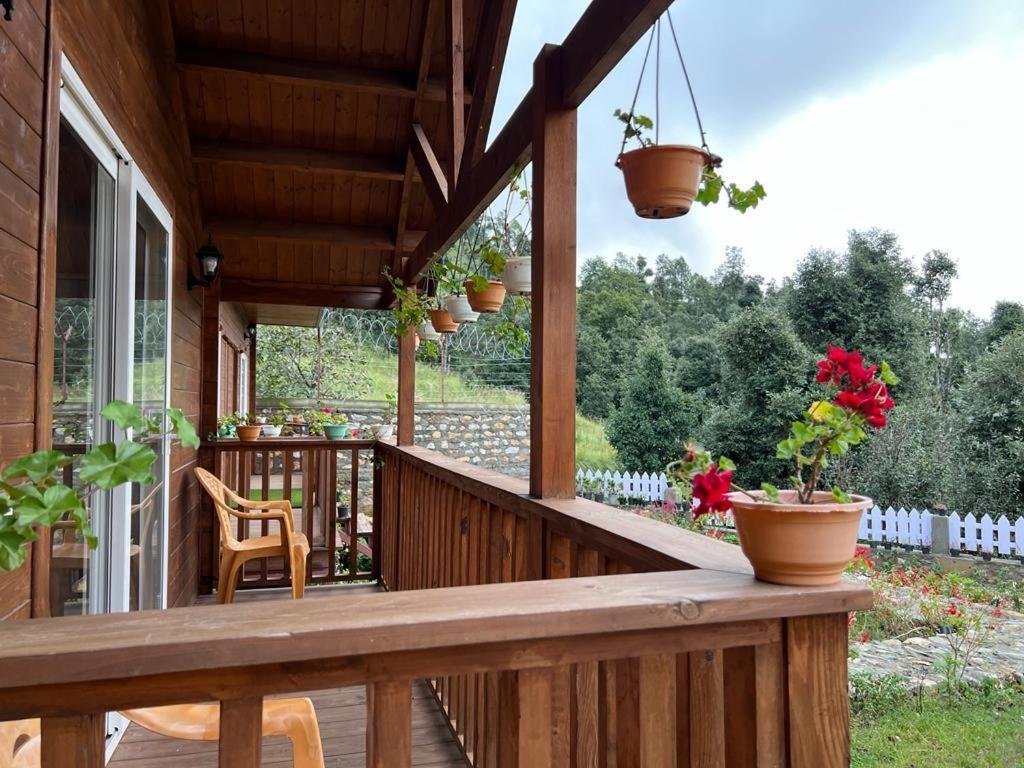 Vanprastha Resorts Dwarahat Exterior photo